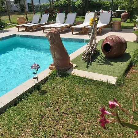 Villa Amomos With Swimming Pool